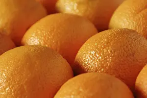Orange Fruit Drucke: Oranges