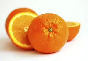 Citrus Fruits Drucke: Oranges (Citrus)