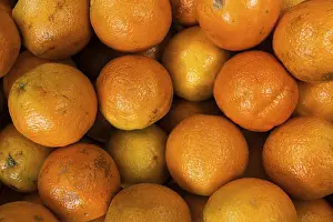 Orange Fruit Drucke: Oranges (Citrus sinensis)