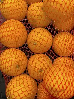 Citrus Fruits Drucke: Oranges (Citrus sinensis) oranges fruit in plastic net bag plastic net in display of grocery store food retailer