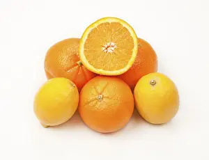 Citrus Fruits Drucke: Oranges and lemons