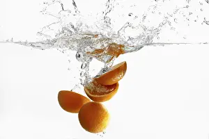 Studio Shot Of Oranges Drucke: Oranges, splash, water