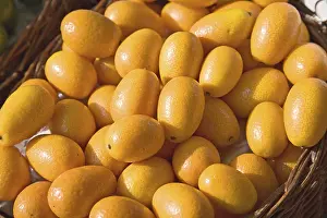 Citrus Fruit Health Benefits Drucke: Orangini