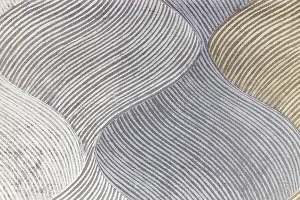 Drucke von Organische gekrümmte Muster mit topografischen Linienstilen und subtiler Textur Minimalistische Kunstwerke Drucke: Organische gekrümmte Muster mit topografischen Linien und subtiler Textur.