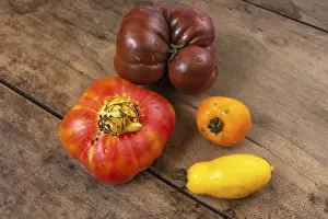 European Fruit Vegetables Drucke: Organic tomatoes on a kitchen table