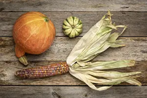 Rustic Wood Decor Drucke: Ornamental corn ear and winter squash - flat lay on a rustic