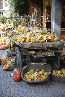 Ornamental Pumpkins Drucke: Ornamental pumpkins