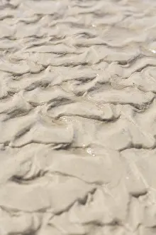 North Sea Shoreline Drucke: Oscillation ripples in the sand