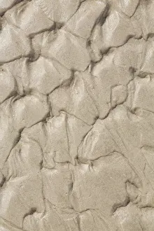 Northern Germany Coast Drucke: Oscillation ripples in the sand