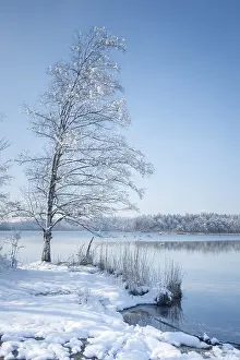 Upper Bavaria Winter Landscape Drucke: Osterseen winter scenery