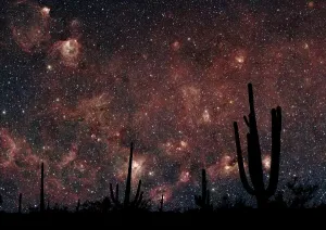 Sahara-Wüste