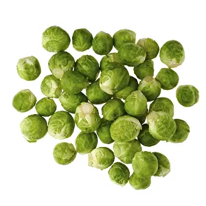 Brussels Sprouts Drucke: Overhead view of brussels sprouts