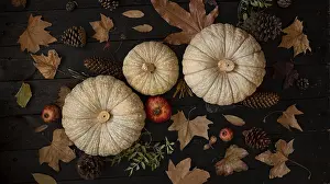 Rustic Home Decor Drucke: Overhead view of pumpkins surrounded by pine cones