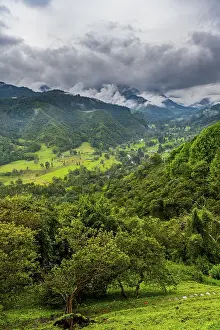 Uninhabited Valley Scenery Drucke: Overlook over the Valle de Cocora