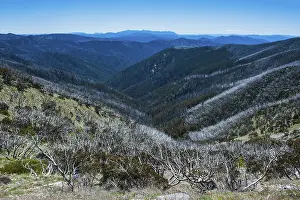 Deserted Mountain Peak View Drucke: Overlooking the Victorian Alps mountain range