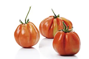 Indoor Food Photography Studio Drucke: Oxheart Tomatoes