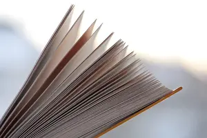 Deserted Bookshelf Drucke: Pages of a book
