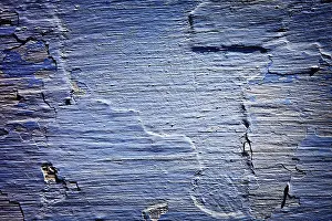 Textured Wallpaper Design Drucke: Painted plaster wall texture