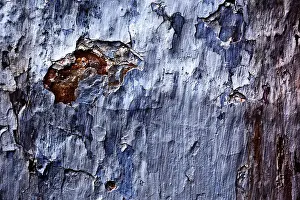 Textured Background Images Drucke: Painted plaster wall texture