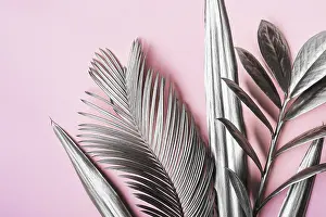 Drucke von Gepinselt mit silbernen tropischen Blättern auf rosa Pastellhintergrund. Natürliche kreative Anordnung. Minimaler surrealistischer Hintergrund Minimalistische Kunstwerke Drucke: Mit silbernen tropischen Blättern auf rosa pastellfarbenem Hintergrund gemalt.