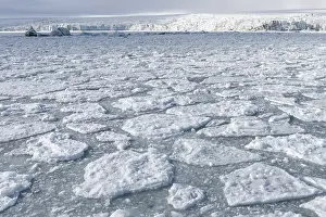 Svalbard Archipelago Drucke: Palanderbukta Bay, Pack ice pattern