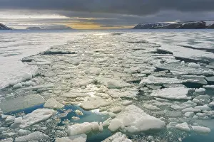 Scandinavian Coastal Area Drucke: Palanderbukta Bay, Pack ice pattern