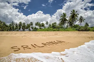 Tropical Coastline Drucke: Palm beach