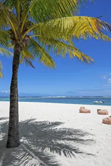 Cloudy Sky Photography Drucke: Palm tree, cloud, sky, sea, sandy beach