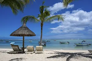 Tropical Landscape Drucke: Palm tree, cloud, sky, sea, sandy beach