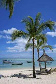 Drucke von Palmenbaum, Wolke, Himmel, Meer, Sandstrand, Natur, Sonnenschirme, Liegestühle, Boote, Le Morne , Mauritius Mauritius Drucke: Palmenbaum, Wolke, Himmel, Meer, Sandstrand.