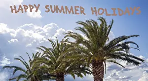 Holiday Tourism Image Drucke: Palm trees against a blue sky and clouds