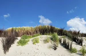 German Coastline Photography Drucke: Panorama of the dune landscape