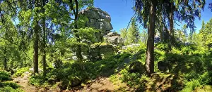 Clear Blue Sky Scenery Drucke: Panorama over forest landscape