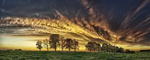 Deserted Landscape With Clouds Drucke: Panorama, row of trees in the approach of a cloud front