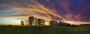 Cloudy Weather Forecast Drucke: Panorama, row of trees in the approach of a cloud front
