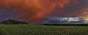 Gloomy Weather Forecast Drucke: Panorama of storm clouds in the sunset