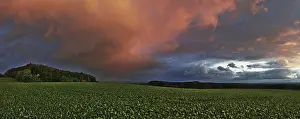Deserted Evening Sky Drucke: Panorama of storm clouds in the sunset