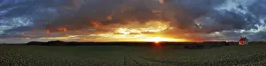 Evening Sun Photography Drucke: Panorama, sunset in the Ried