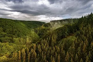 Foggy German Countryside Drucke: Panoramic view over the Eifel, Germany