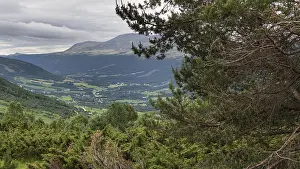 Norway Panoramic Image Drucke: Panoramic view of a green valley