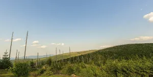 German Mountain View Drucke: Panoramic view from the Hochstein