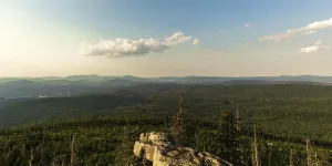 Central Europe Coniferous Trees Drucke: Panoramic view from the Hochstein