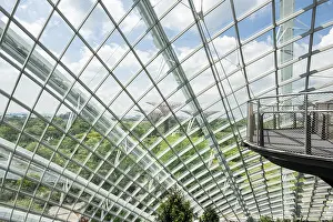 Bilder Datiert 31. Oktober 2024: Eine Panoramablick von innen im Wolkenwald in Gardens by the Bay.