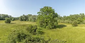 Springtime In Alsace France Drucke: Panoramic view of a natural meadow in spring