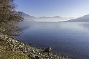 Deserted Lakeside Scene Drucke: Panoramic view of a tree by the lake