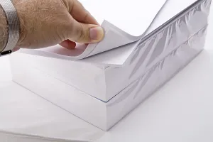 White Sheet Of Paper Drucke: Paper