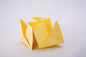 Indoor Studio Photography Drucke: Paper