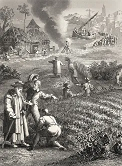 Historical Bible Images Drucke: The Parable of the Weeds, New Testament