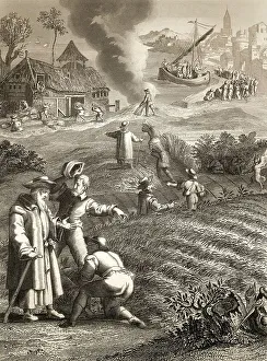 Old World Map Illustration Drucke: The Parable of the Weeds, New Testament