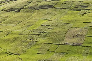 Faroe Islands Landscape Drucke: Parcels of land, fields, patchwork